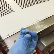 Segurança alimentar