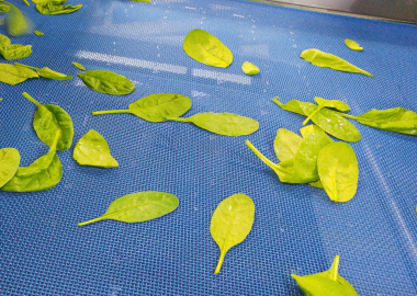 Correias Ultrascreen