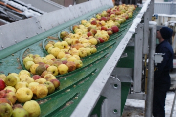 Indicações de utilização