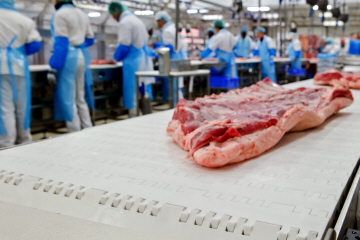 Carnes vermelhas e de aves