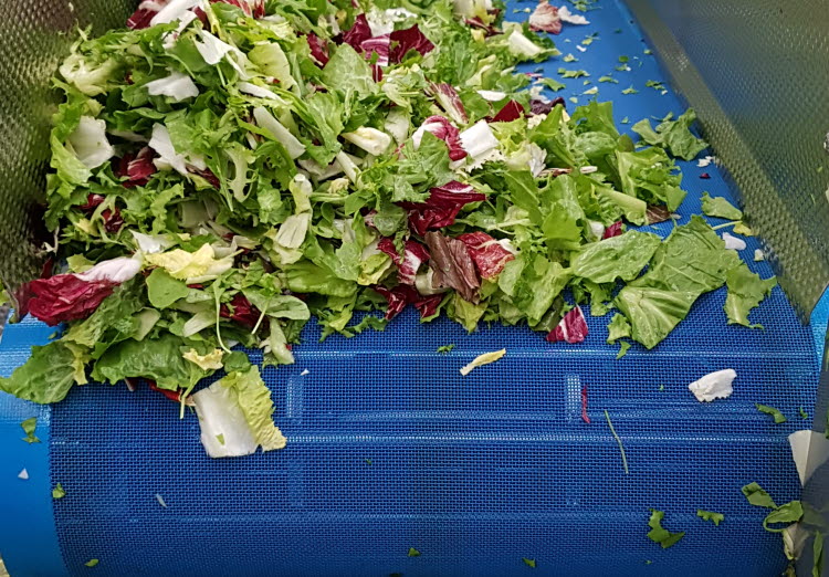 Processamento de fruta e vegetais