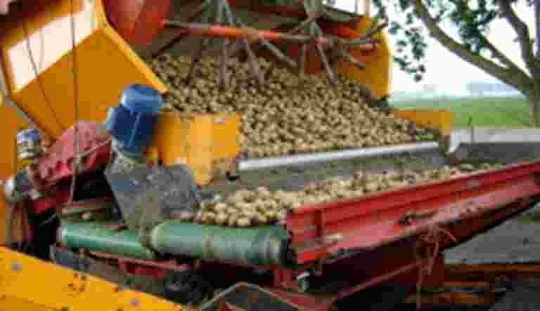 Transportbanden voor de Agri & Foodprocessing - Inschuren, sorteren en ontgronden