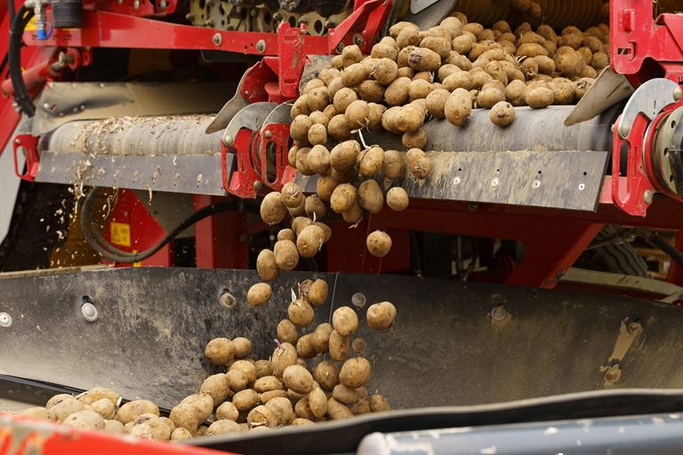 Crops conveying and Machinery harvesting