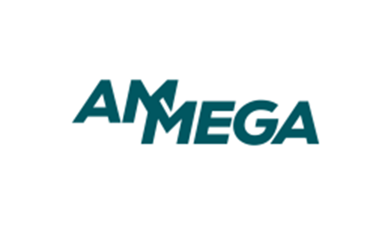 Ammeraal Beltech and Megadyne Group announce their new merged name: AMMEGA