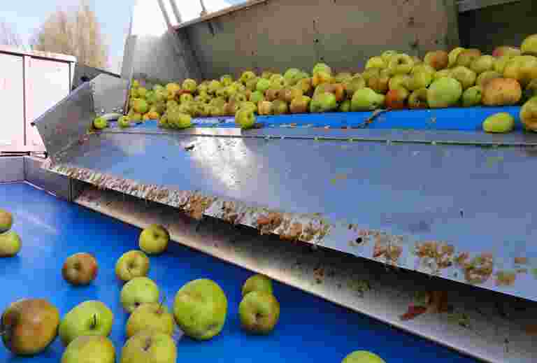 Fruitteelt