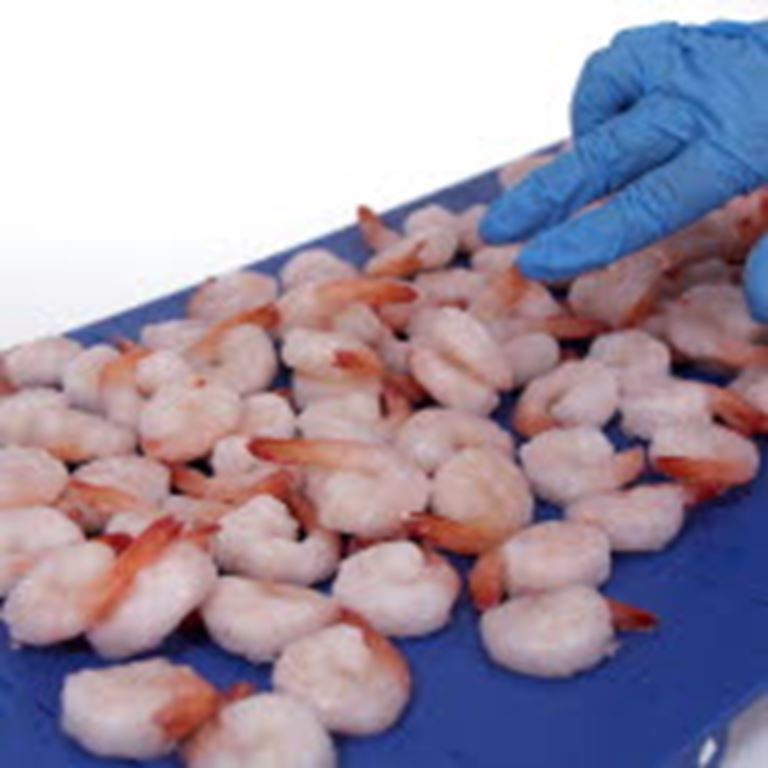 食品安全的皮带解决方案