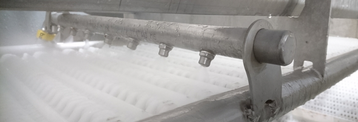 Conveying systems in the Seafood Industry are hygienically designed for unpacked or packed fillets, but also for connecting crates, cartons and trays of product to a variety of production areas such as packaging, storage or further processing.