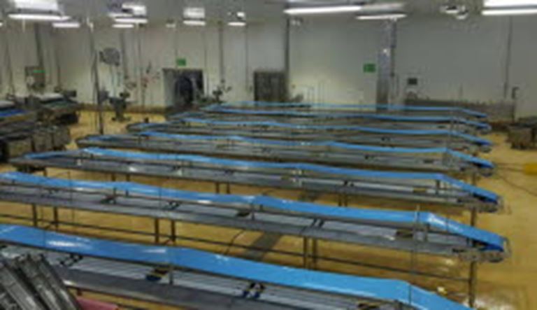 肉类加工,我们“带”动