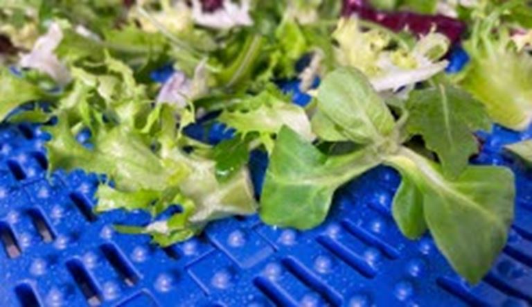 Hoe transportbanden bijdragen