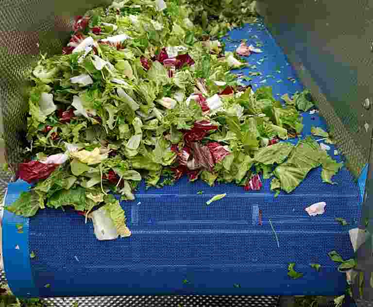 Frutas y verduras