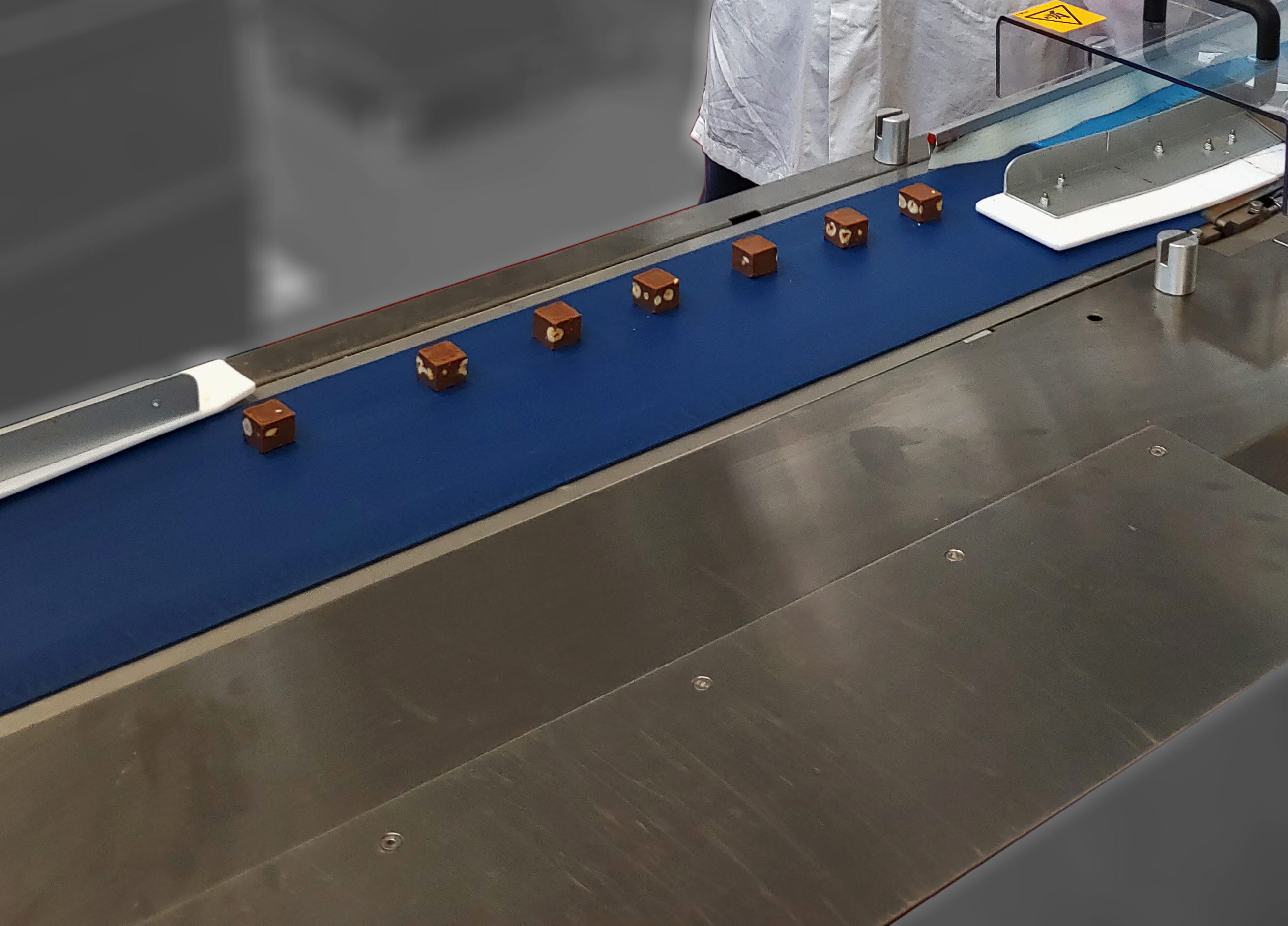 Ammeraal Beltech Belting Solutions Home En